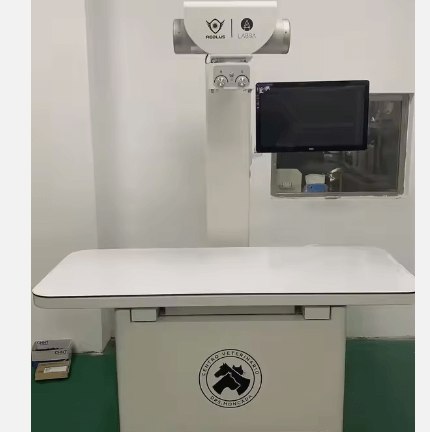 Digital Radiography Hospital Equipment Vet X Ray Machine