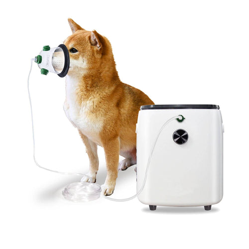 1-7L/min Vet Oxygen Concentration