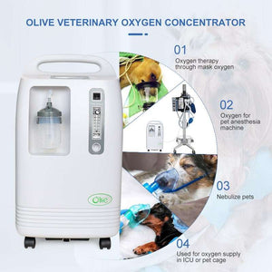 10 Liter Pet Hospital Oxygen Machine