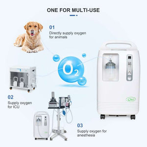 10 Liter Pet Hospital Oxygen Machine