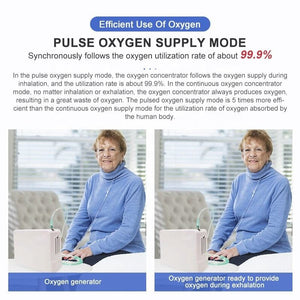 5l Pulse Potable Travel Oxygen Concentrator