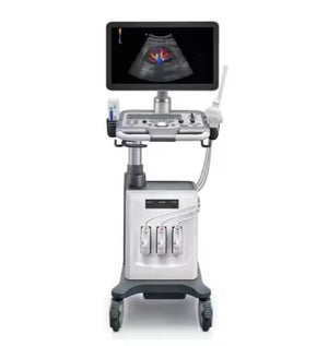 Trolley Color Doppler 3D Ultrasound Machine