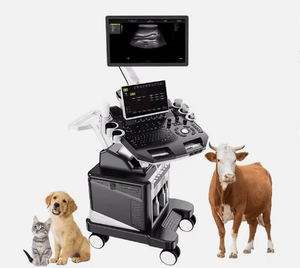 Pet Hospital Usg for 4D Echo Color Doppler