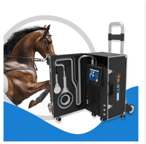 PMST Vet Magneto Rehabilitation Equipment For Horse Recovery