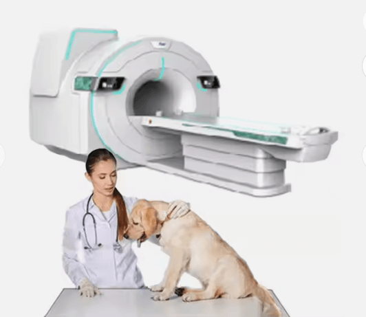 Veterinary MRI system with 1.5T Full Body Imaging