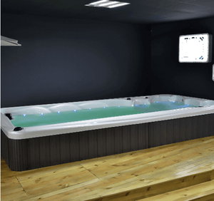 Top Swim Spas