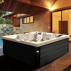 affordable swim spas