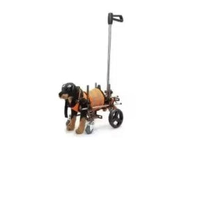 Walker Supplies Disabled Dog