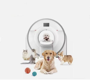 VET Veterinary CT Scanner 64 Slices