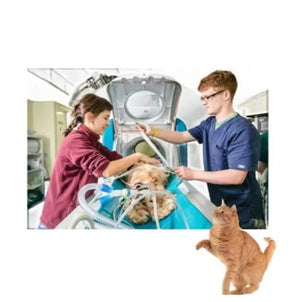 New Veterinary 1.5T MRI Digital Scan Imaging System