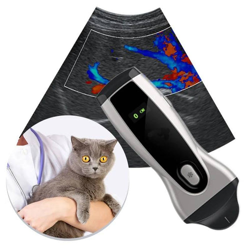 Portable Ultrasound Machine for Veterinary Animal