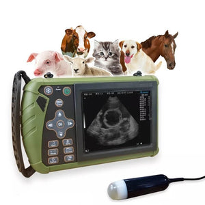ultrasound equipment for cattle