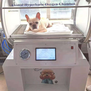 Veterinary Hyperbaric Chambers