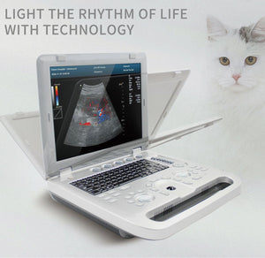 Portable Veterinary Ultrasound Scanner Color Doppler VET Machine with Probe