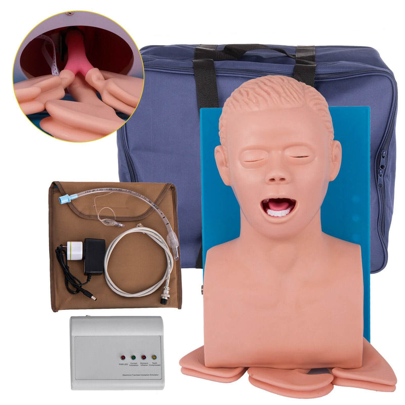 PVC Adult Intubation Manikin Teaching Model