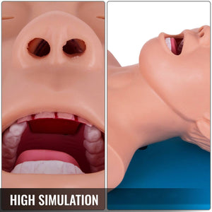 PVC Adult Intubation Manikin Teaching Model