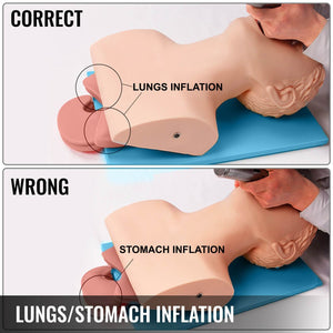 PVC Adult Intubation Manikin Teaching Model